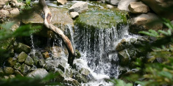 Milestones Ranch Malibu